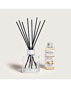 Maison Berger Amber Powder Scented Bouquet